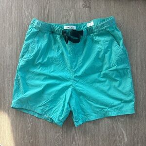 PacSun Aqua Volley Shorts with Black Belt